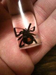 Black Widow Spider